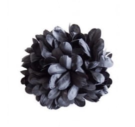 Fleur noir