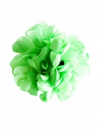 Spaanse haarbloem lime groen XL