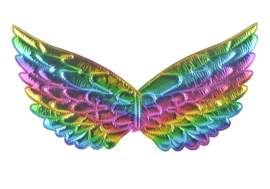 Prinsessen vleugels regenboog NIEUW