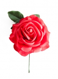 Spaanse flamenco roos, rood