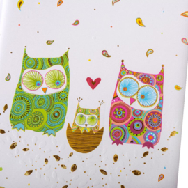 Turnowsky Babydagboek - Owls Family
