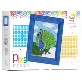 Geschenkverpakking met lijst:  Pauw