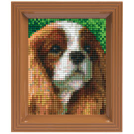 Geschenkverpakking met lijst:  Cavalier king hond