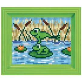 Geschenkverpakking met lijst:  Kikkers