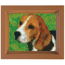 Geschenkverpakking met lijst: Beagle hond