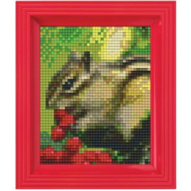 Geschenkverpakking met lijst:  Eekhoorn