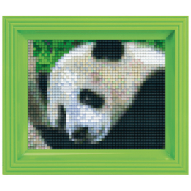 Geschenkverpakking met lijst:  Panda real