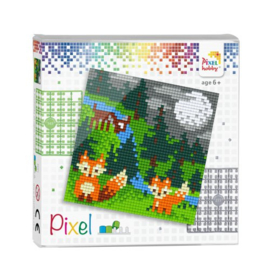 Pixelset  int het bos 4 basisplaten