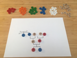 Genogram set en Matrjosjka's voor Ingrid TV