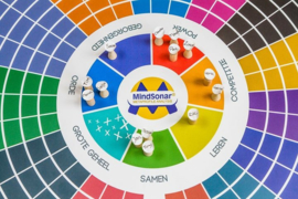 Materialen Mindsonar en 6 V's in teamvorming voor Nexus Coaching