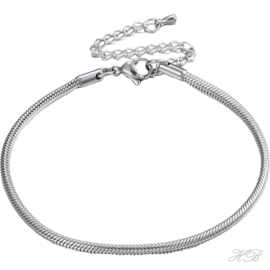 ARM-0008 Armband (304 stainless steel) snake chain Metaalkleurig 200x2,5mm; verlengketting 65mm 1 stuks