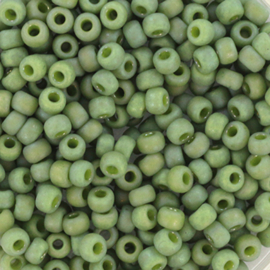 MR-08068 Miyuki Rocailles opaque glazed frosted pistachio (8-4698) 8/0 ±10 gram