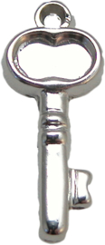 02051 Bedels sleutel (metallook) Zilverkleurig 23mmx9mm