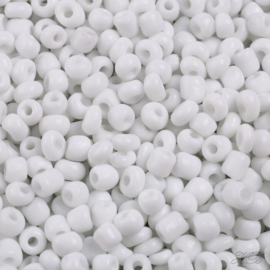 05849 Rocaille Opaque White   6/0 ±20 gram
