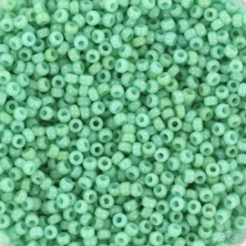 MR-15036 Miyuki Rocailles duracoat opaque sea opal (15-4475) 15/0 ±5 gram