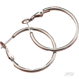 02307 Creolen  Metaalkleurig 304 Stainless steel  30x2mm; pin 0,8mm 1 paar