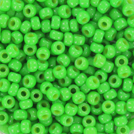 MR-08053 Miyuki Rocailles duracoat opaque dyed fiji green (8-4476) 8/0 ±10 gram