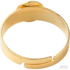 02541 Vingerring (304 stainless steel)  Goudkleurig 17mm; tray 10mm 1 stuks