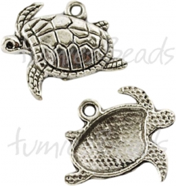 03839 Bedel schildpad Antiek zilver (Nikkelvrij) 18mmx21mm 6 stuks