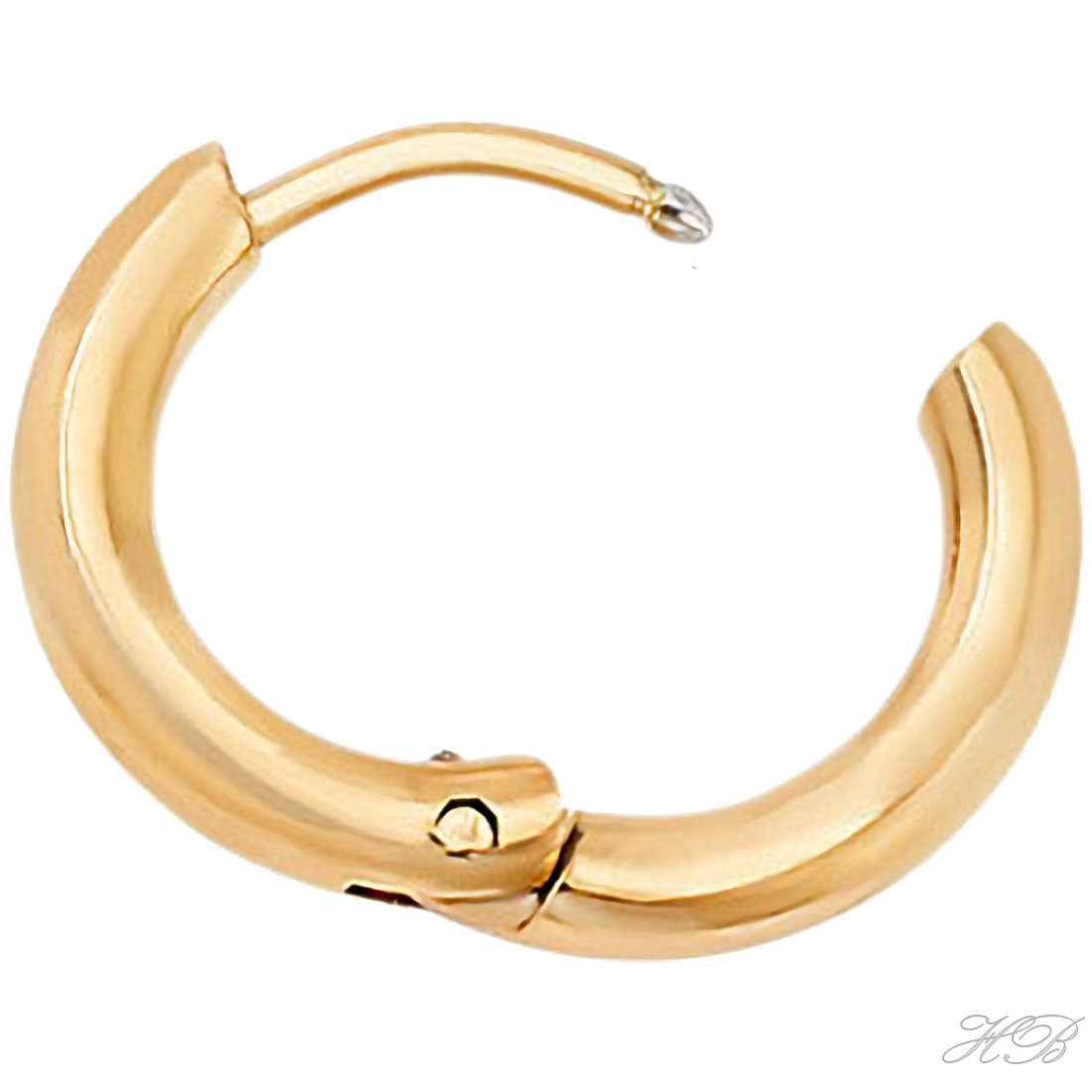 05005 Creool  Goudkleurig 304 stainless steel  16x2,5mm; pin 1mm 1 Paar