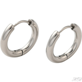 05008 Creool  Metaalkleurig 304 stainless steel  18x3mm; pin 0,9mm 1 paar