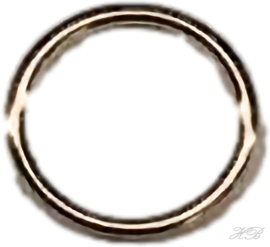 04621 Ringetjes gesloten Goudkleurig (Nikkel vrij) 8x1mm; inner 6mm ±20 stuks