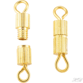 01861 Draaislot /schroefslot Goudkleurig (Nikkelvrij)   14x3mm; gat 1,8mm 6 stuks