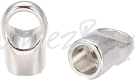 02249 Eindkap Metaalkleurig 19mmx12mm; gat 8mm 2 stuks