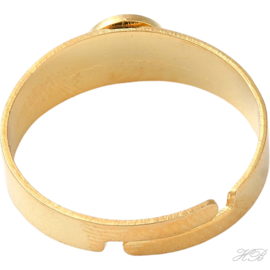 00400 Vingerring (304 stainless steel)  Goudkleurig 17mm; tray 6mm 1 stuks