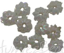 00660 Acryl bloemkraaltje Parelmoer 3mmx6mm 5gram (±100 stuks)