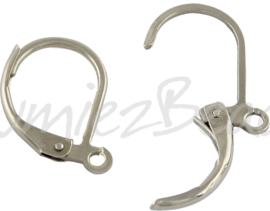 02194 Oorbelhaak gesloten (316 Stainless steel) Metaalkleurig 15mmx10mmx1,5mm; gat 1,5mm 4 paar