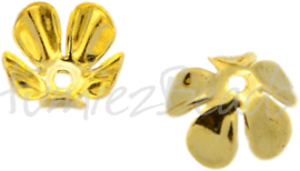 00464 Käppchen filigraan Goldfarbe 8mmx4mm; loch 1mm 35 stück