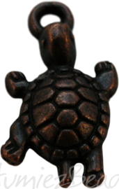 00894 Bedel schildpad Koper 23mmx12mm