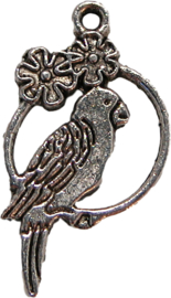 01655 Bedel papegaai in ring Antiek zilver (Nikkelvrij) 29mmx15mm 3 stuks