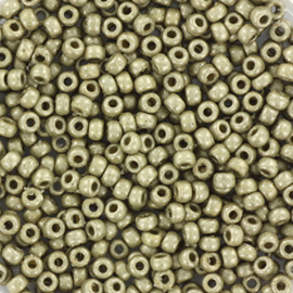 MR-11149 Miyuki Rocailles duracoat galvanized matte light pewter (11-4221F) 11/0 ±6 gram