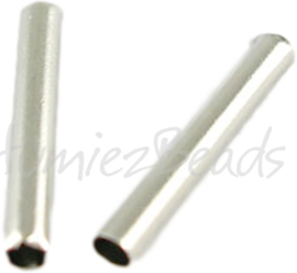 00051 Buiskraal Metaalkleurig (Nikkelvrij) 15mmx2mm; gat 1,5mm ±30 stuks