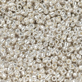 04663 Rocaille  Silver   12/0 ±20 gram
