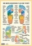 Poster Reflexzones van de voet