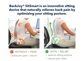 BackJoy Sitsmart Posture plus