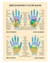 Poster A3 Reflexzones van de Hand