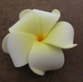 Bloemen Liliwadi White-Yellow