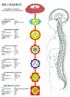 Poster A3 Chakra's