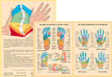 Kaart, A4 Reflexzones van de hand en voet