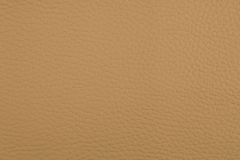 Vyva Fabrics - Beluga - 3305 Dune