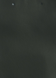 Ohmann Leather - Smart - 7203 Verde