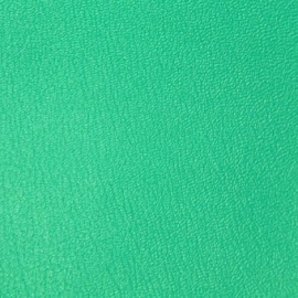 Vyva Fabrics - Boltaflex Colourways - China Green 454319