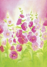 B1013 Hollyhocks