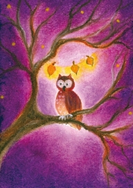 D1004 The owl