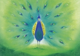 D1012 The peacock