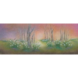 Light wish snowdrops